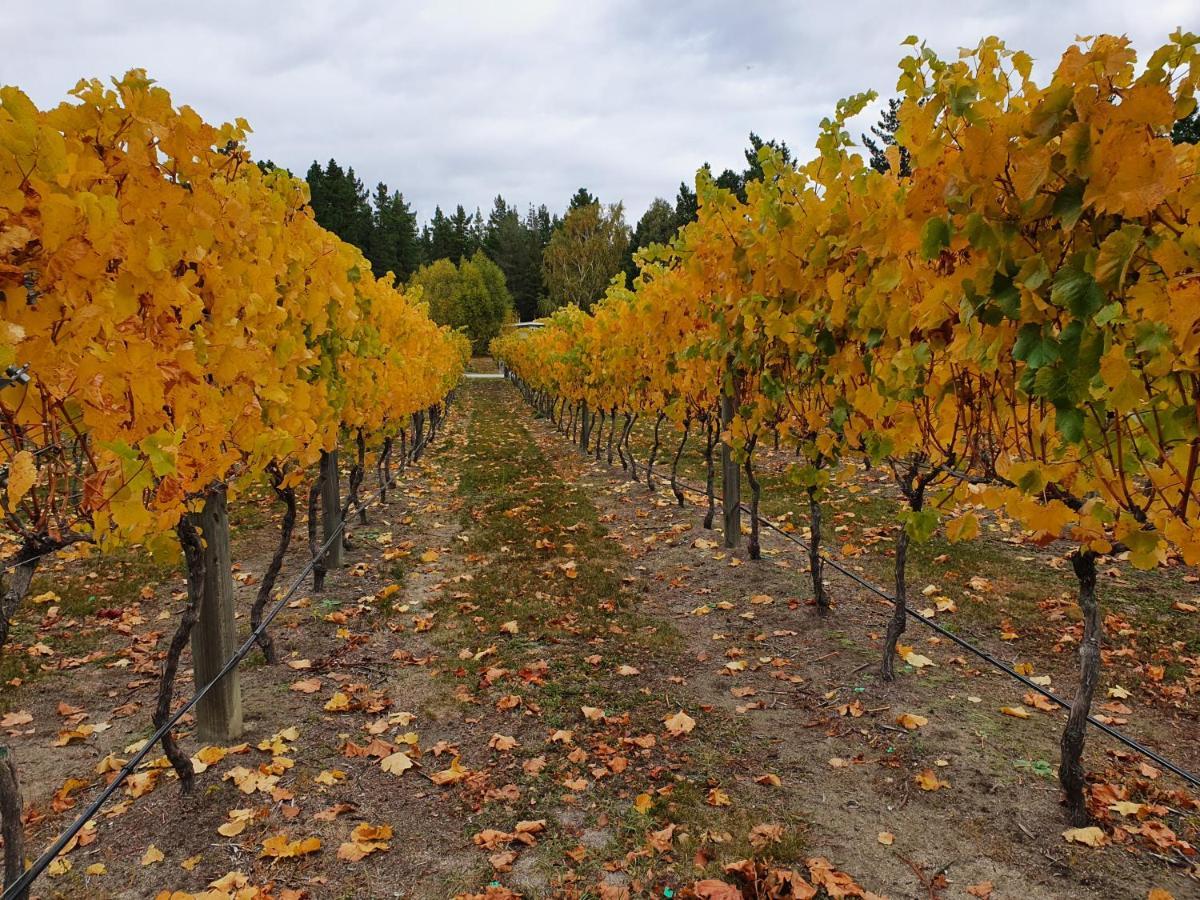 Bed and Breakfast Vines On Bannockburn Cromwell Esterno foto